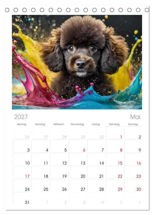 Splash - Hunde im Farbrausch (CALVENDO Tischplaner A5H 2027)