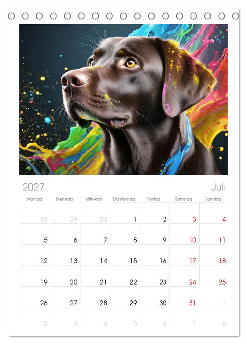 Splash - Hunde im Farbrausch (CALVENDO Tischplaner A5H 2027)