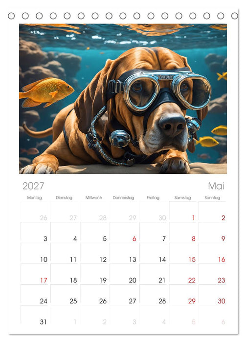 Hunde abgetaucht (CALVENDO Tischplaner A5H 2027)