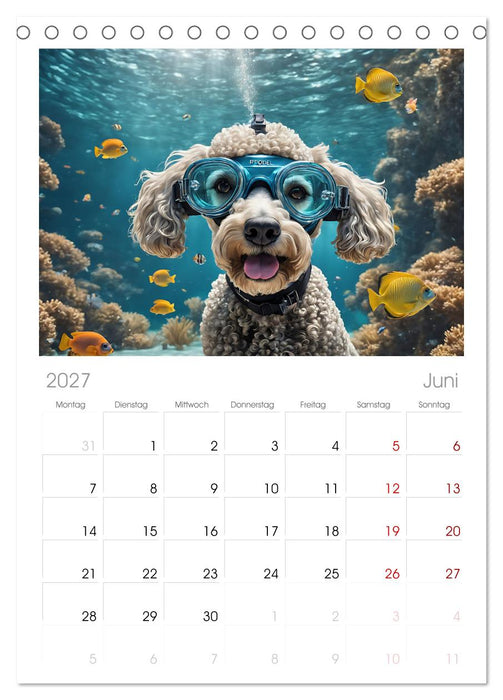 Hunde abgetaucht (CALVENDO Tischplaner A5H 2027)