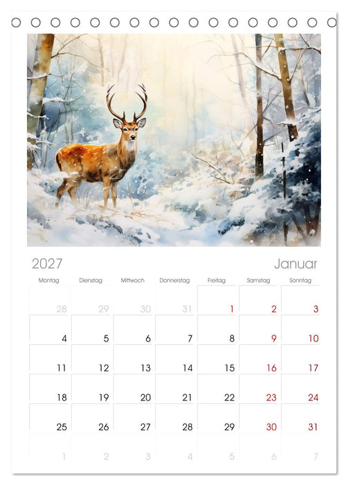 Zwölf Monate im Wald (CALVENDO Tischplaner A5H 2027)