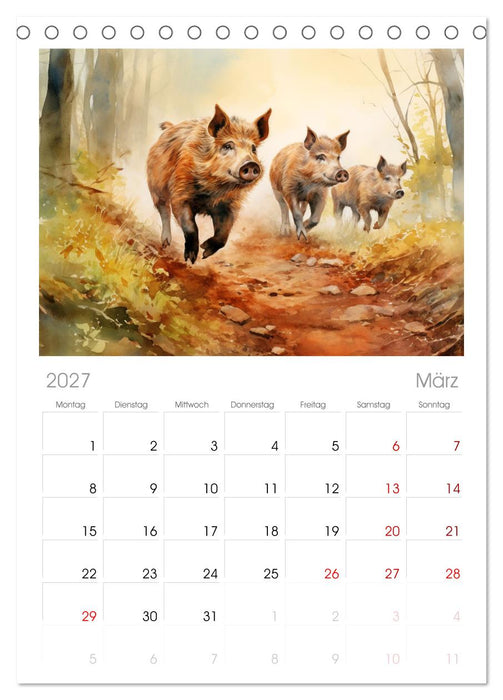 Zwölf Monate im Wald (CALVENDO Tischplaner A5H 2027)