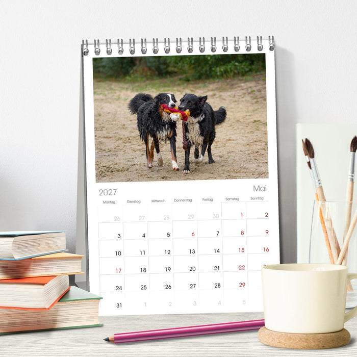 Hunde Action (CALVENDO Tischplaner A5H 2027)