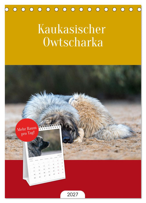 Kaukasischer Owtscharka (CALVENDO Tischplaner A5H 2027)