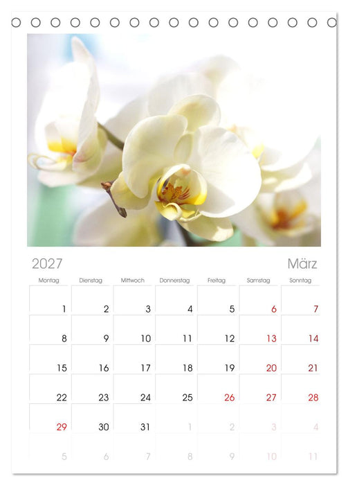 Liebenswerte Orchideen (CALVENDO Tischplaner A5H 2027)