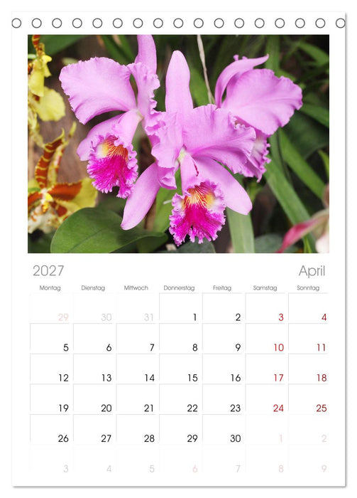 Liebenswerte Orchideen (CALVENDO Tischplaner A5H 2027)