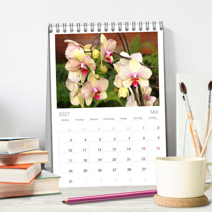 Liebenswerte Orchideen (CALVENDO Tischplaner A5H 2027)