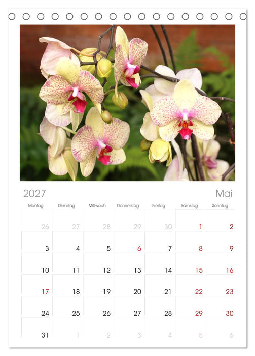 Liebenswerte Orchideen (CALVENDO Tischplaner A5H 2027)