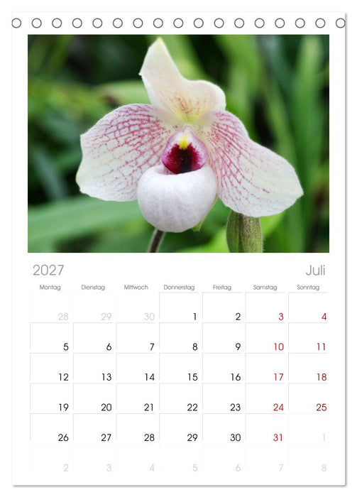 Liebenswerte Orchideen (CALVENDO Tischplaner A5H 2027)