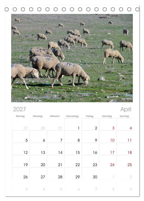 Extremadura Spanien (CALVENDO Tischplaner A5H 2027)