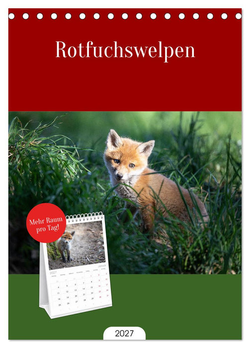 Rotfuchswelpen (CALVENDO Tischplaner A5H 2027)