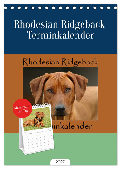 Rhodesian Ridgeback Terminkalender (CALVENDO Tischplaner A5H 2027)