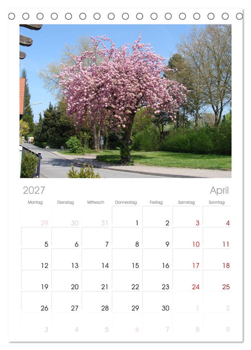 Bad Sassendorf (CALVENDO Tischplaner A5H 2027)