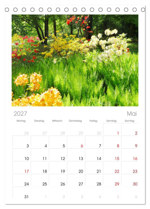 Urlaub im Garten (CALVENDO Tischplaner A5H 2027)