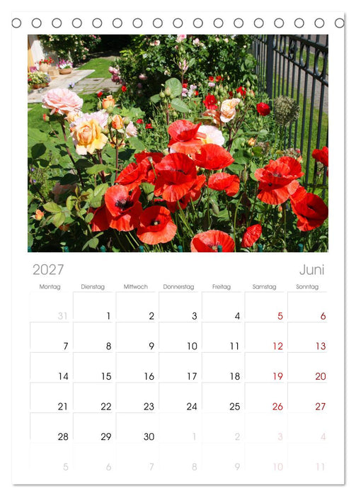 Urlaub im Garten (CALVENDO Tischplaner A5H 2027)