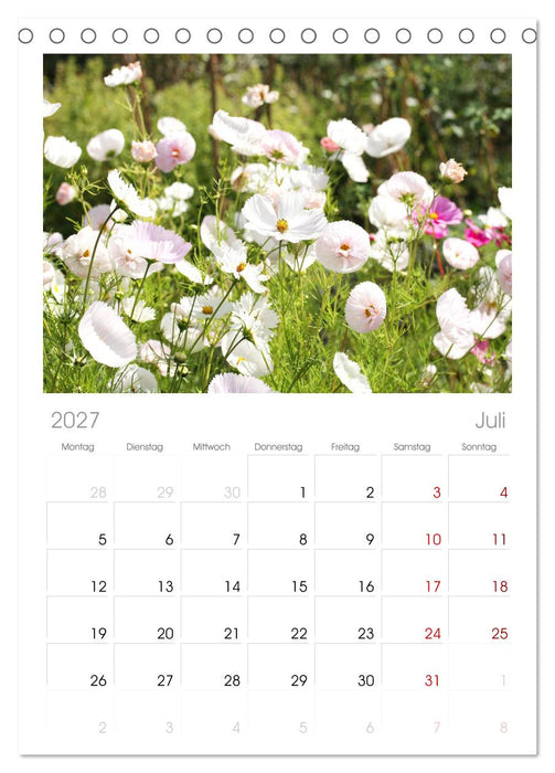 Urlaub im Garten (CALVENDO Tischplaner A5H 2027)