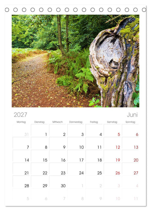 Walddämonen (CALVENDO Tischplaner A5H 2027)