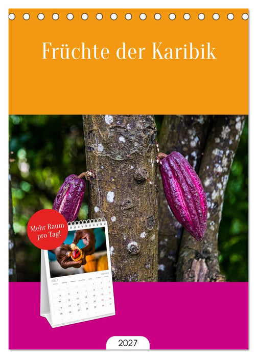 Früchte der Karibik (CALVENDO Tischplaner A5H 2027)