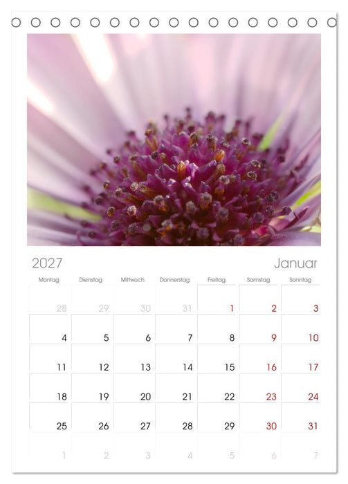 Traum Blumen (CALVENDO Tischplaner A5H 2027)