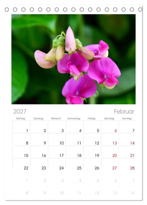 Traum Blumen (CALVENDO Tischplaner A5H 2027)