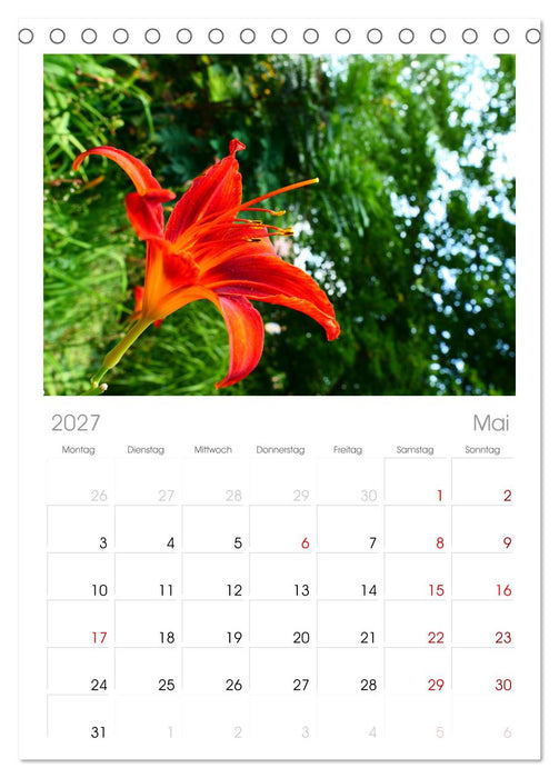 Traum Blumen (CALVENDO Tischplaner A5H 2027)