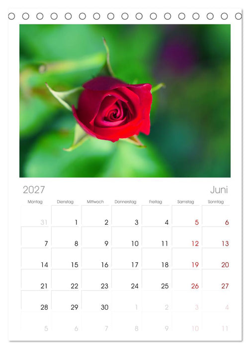 Traum Blumen (CALVENDO Tischplaner A5H 2027)