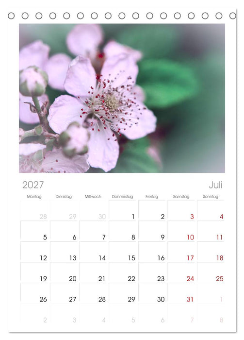 Traum Blumen (CALVENDO Tischplaner A5H 2027)