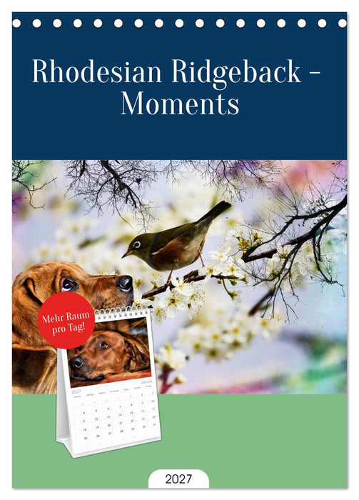 Rhodesian Ridgeback - Moments (CALVENDO Tischplaner A5H 2027)