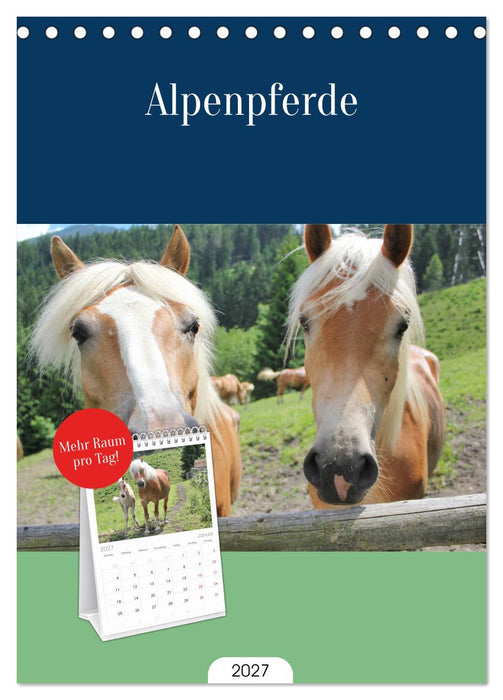 Alpenpferde (CALVENDO Tischplaner A5H 2027)