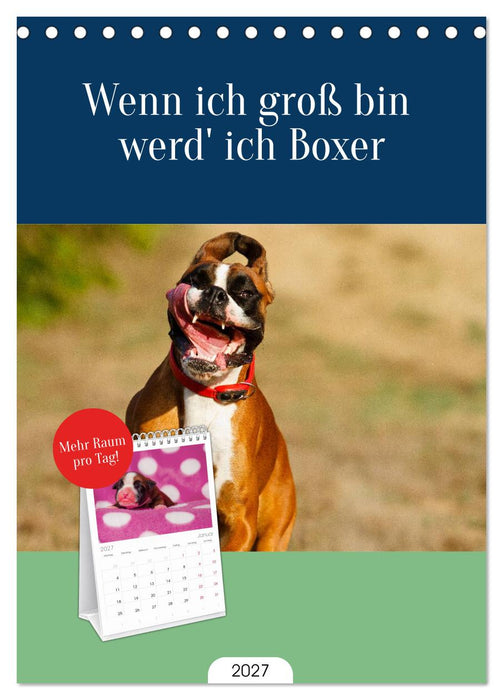Wenn ich groß bin werd' ich Boxer (CALVENDO Tischplaner A5H 2027)