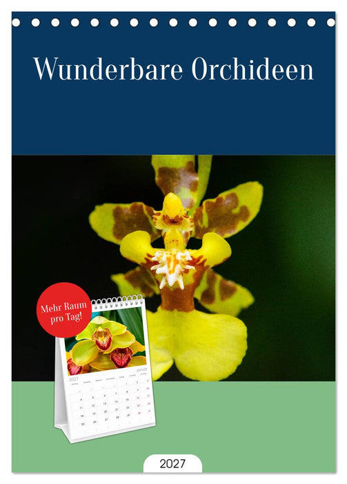 Wunderbare Orchideen (CALVENDO Tischplaner A5H 2027)