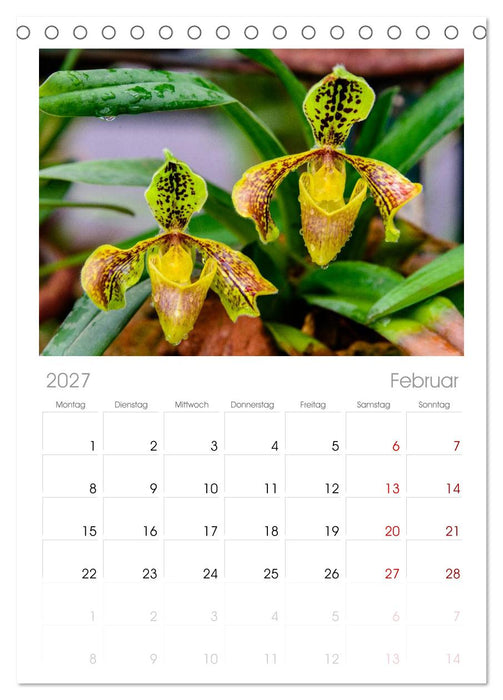 Wunderbare Orchideen (CALVENDO Tischplaner A5H 2027)
