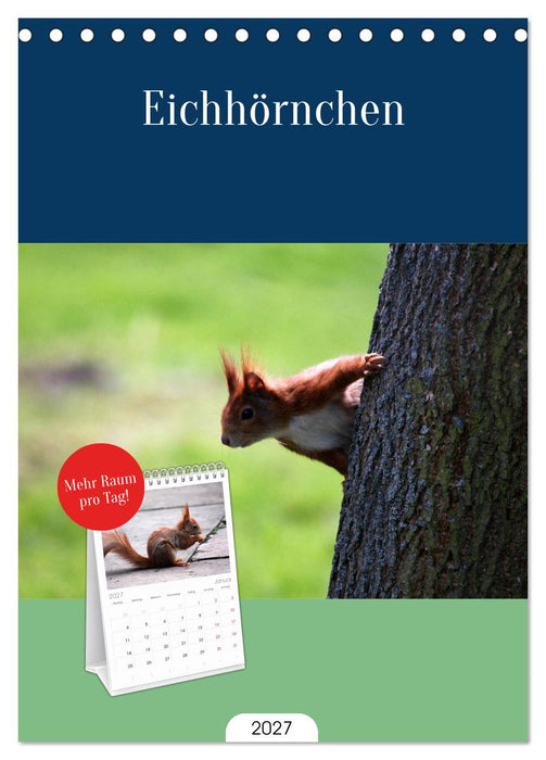 Eichhörnchen (CALVENDO Tischplaner A5H 2027)