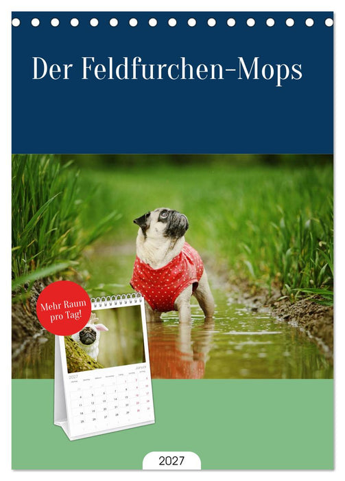 Der Feldfurchen-Mops (CALVENDO Tischplaner A5H 2027)