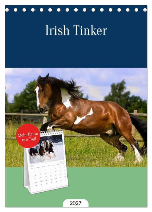 Irish Tinker (CALVENDO Tischplaner A5H 2027)