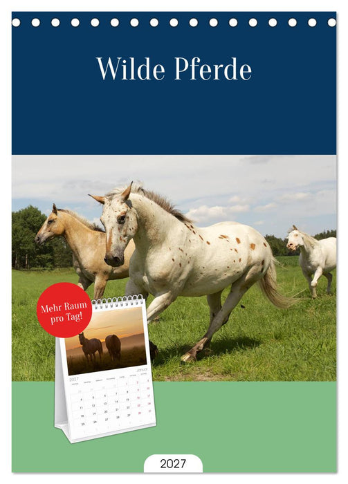 Wilde Pferde (CALVENDO Tischplaner A5H 2027)