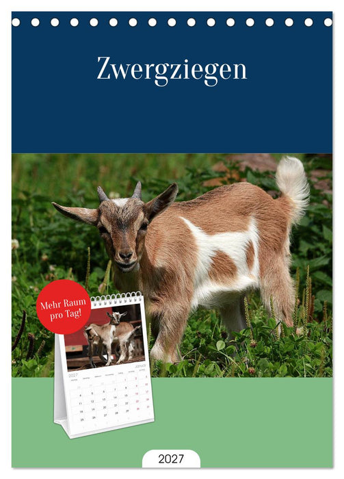 Zwergziegen (CALVENDO Tischplaner A5H 2027)