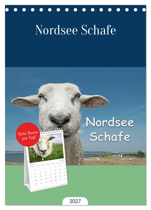 Nordsee Schafe (CALVENDO Tischplaner A5H 2027)