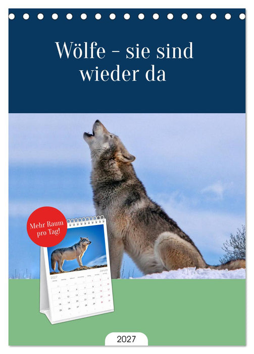 Wölfe - sie sind wieder da (CALVENDO Tischplaner A5H 2027)