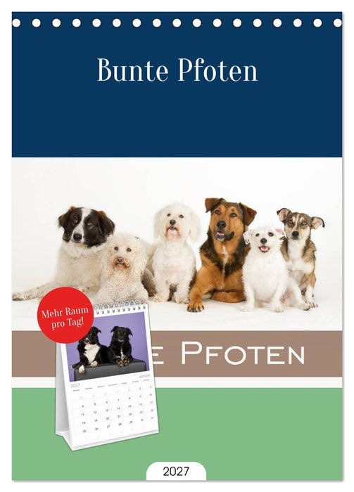Bunte Pfoten (CALVENDO Tischplaner A5H 2027)
