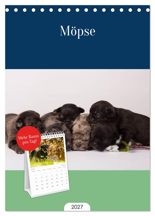 Möpse (CALVENDO Tischplaner A5H 2027)