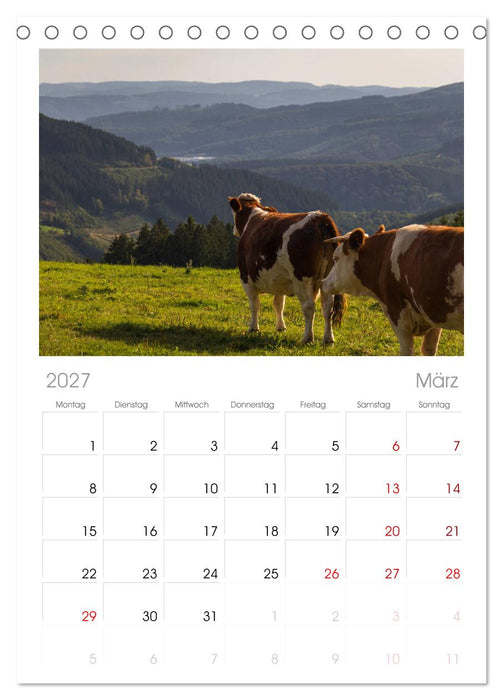 Schönes Sauerland (CALVENDO Tischplaner A5H 2027)