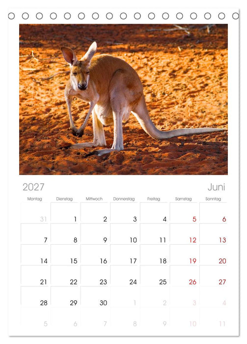 Australien (CALVENDO Tischplaner A5H 2027)