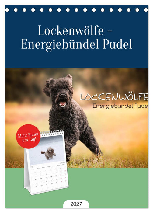 Lockenwölfe - Energiebündel Pudel (CALVENDO Tischplaner A5H 2027)