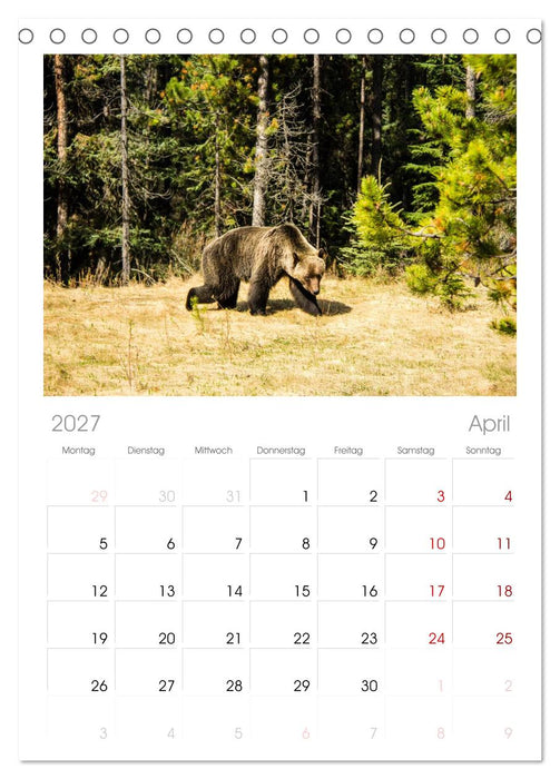 Oh Canada... (CALVENDO Tischplaner A5H 2027)