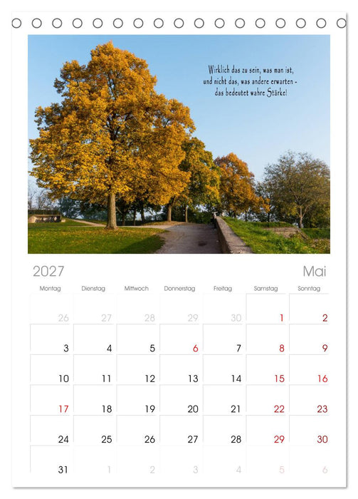 wunderschöne Lichtmomente (CALVENDO Tischplaner A5H 2027)