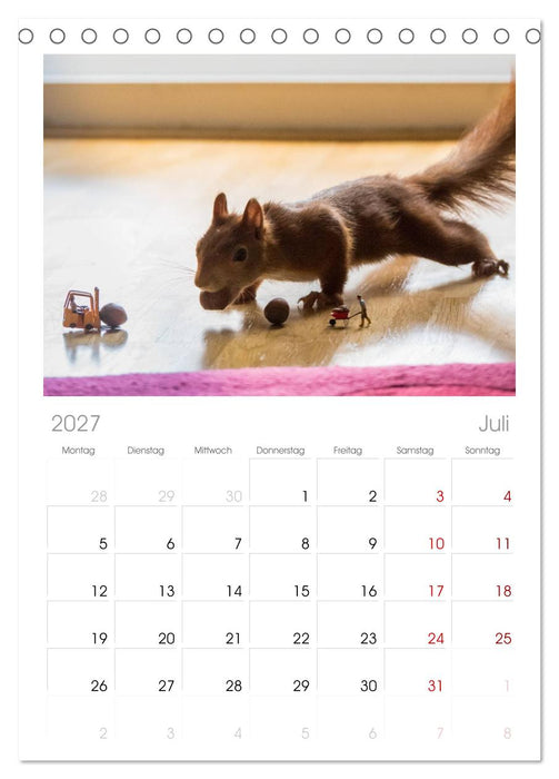 Spaß mit Eichhörnchen! (CALVENDO Tischplaner A5H 2027)