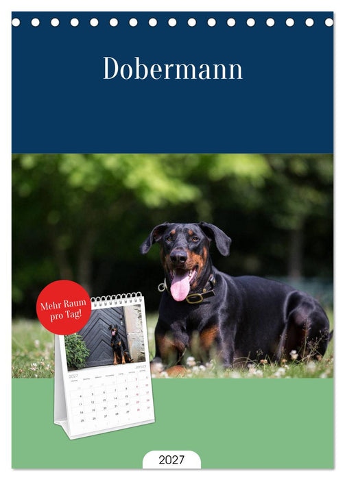 Dobermann (CALVENDO Tischplaner A5H 2027)