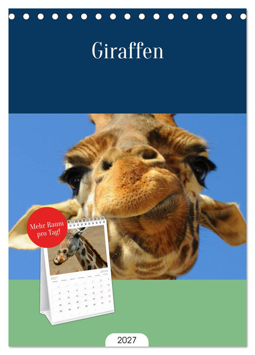 Giraffen (CALVENDO Tischplaner A5H 2027)