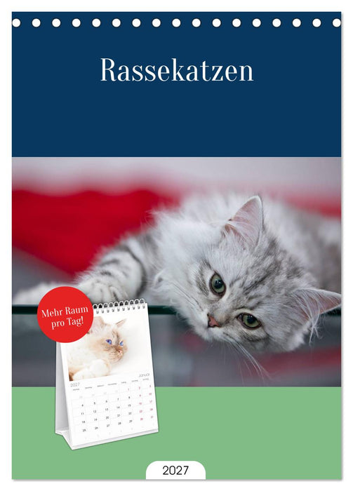 Rassekatzen (CALVENDO Tischplaner A5H 2027)
